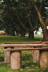 rustic hand made wooden benches in the avocado orchard